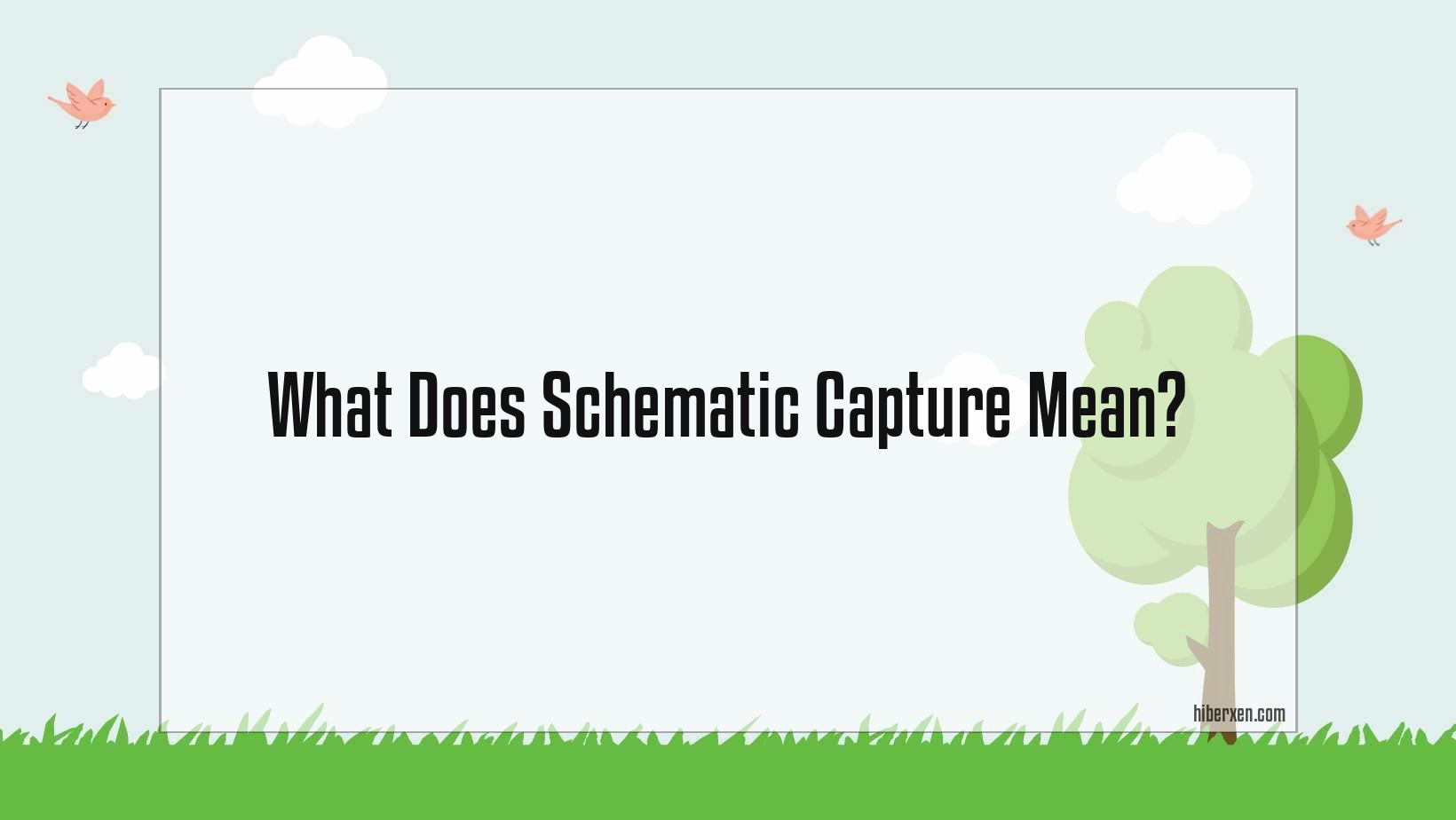 what-does-schematic-capture-mean