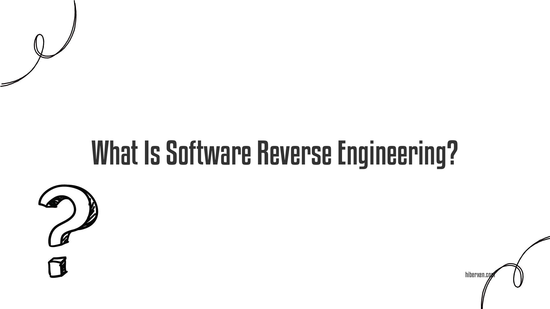 What Is Software Reverse Engineering?